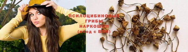 спайс Мегион