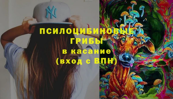 синтетический гашиш Медвежьегорск