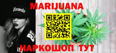 сатива Аргун