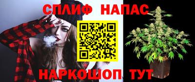 сатива Аргун