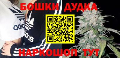 сатива Аргун