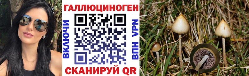 Псилоцибиновые грибы Magic Shrooms  Муром 